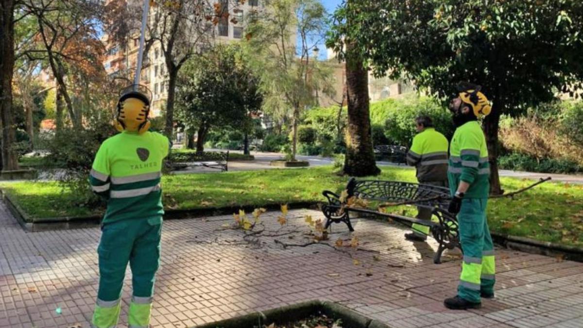 Operarios en zonas verdes de Cáceres.