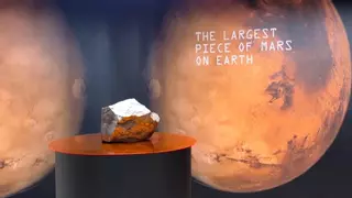 Subastado un meteorito de Marte de 24 kilos