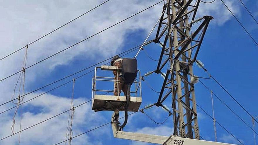 Un dels nius estava en una torre elèctrica.