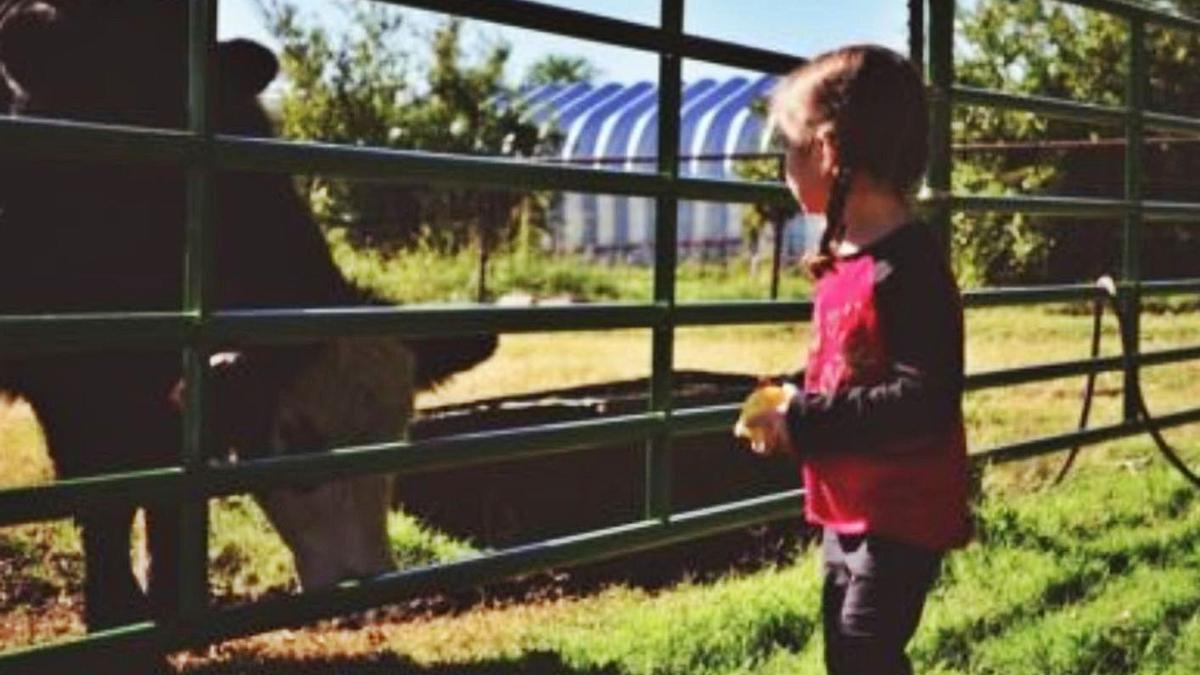 Una niña disfruta de las actividades organizadas en una granja escuela. |   // UPTA