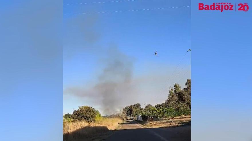 Vídeo | Medios aéreos y terrestres trabajan en la extinción de un incendio forestal en Badajoz