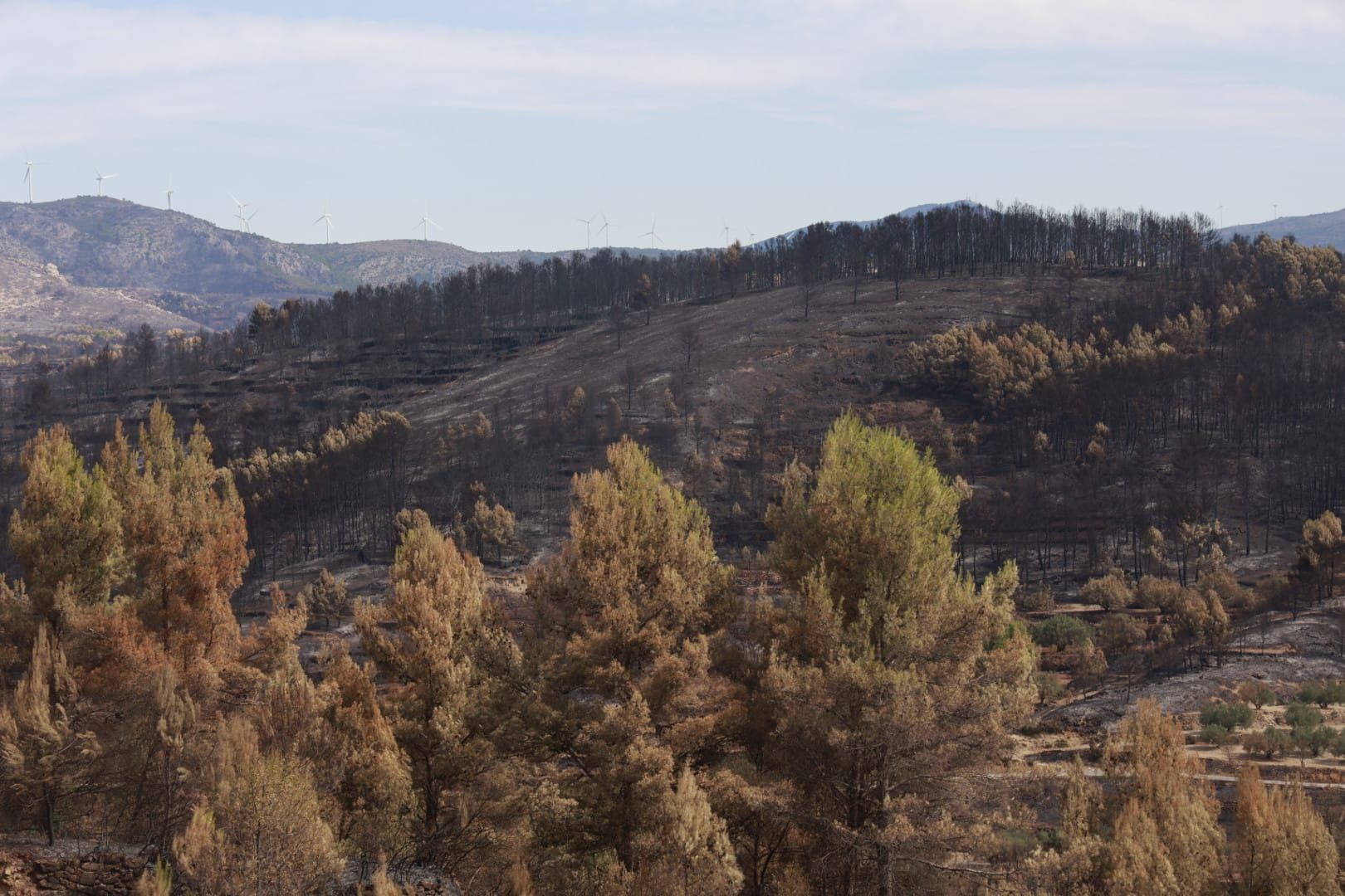 Las consecuencias del incendio de Bejís en Teresa