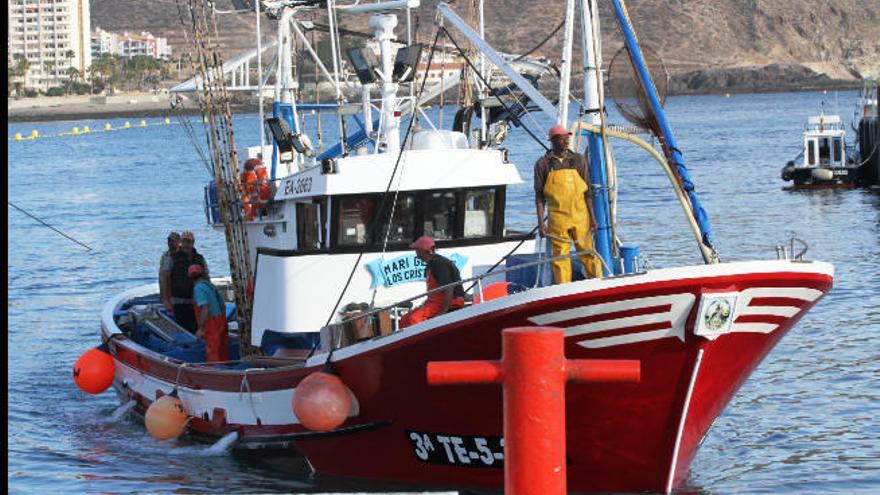 Afirma que la pesca de atún rojo en Canarias está avalada por estudios científicos que demuestran que no significa un peligro para la especie.