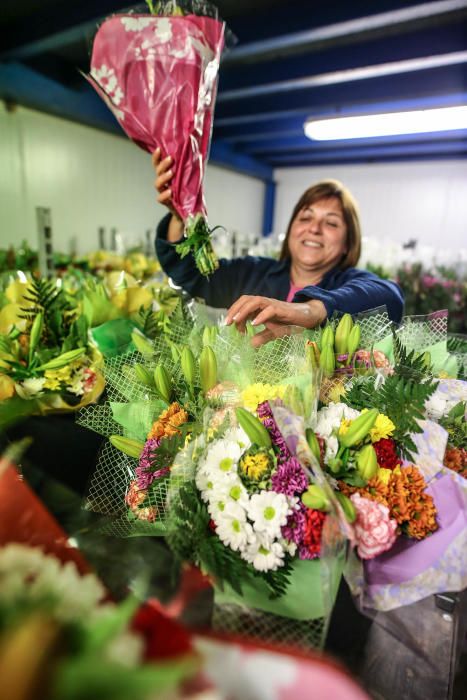 Un millón y medio de flores para el recuerdo