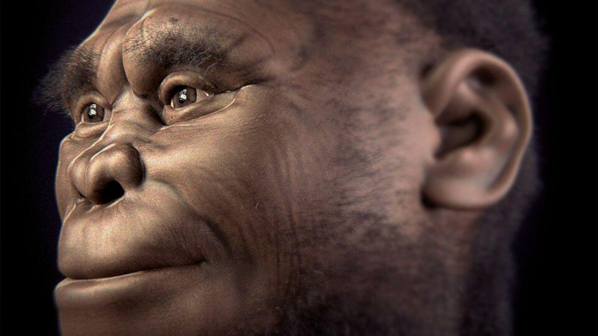 EVOLUCIÓN HUMANA / Antiguos humanos parecidos a hobbits lograron sobrevivir gracias a la carne dejada por los dragones de Komodo