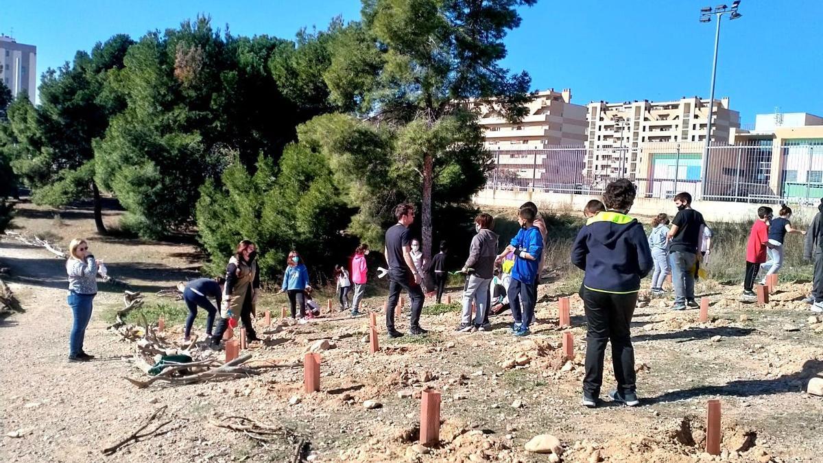 Se han creado nueve &#039;mini-bosques&#039;, uno por cada curso escolar, que los propios escolares se encargarán de regar.