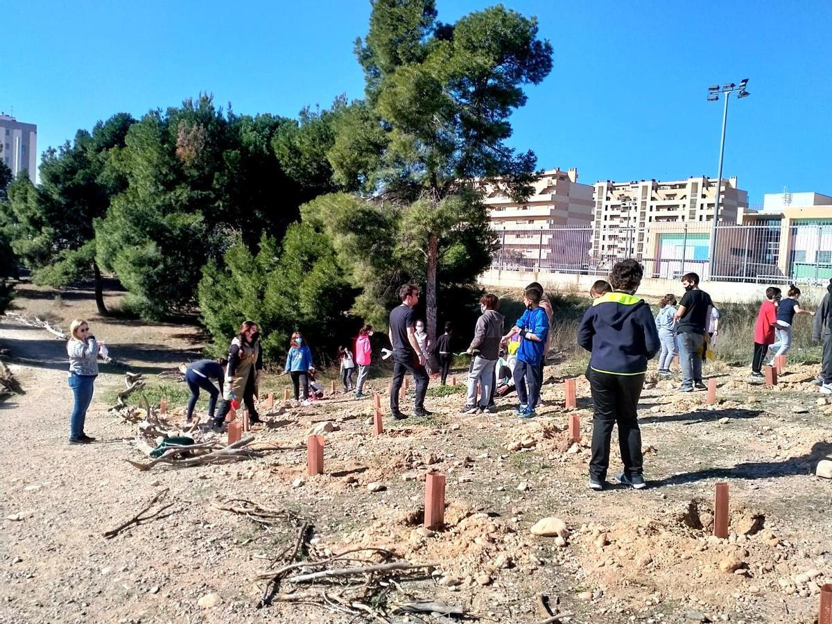 Se han creado nueve 'mini-bosques', uno por cada curso escolar, que los propios escolares se encargarán de regar.