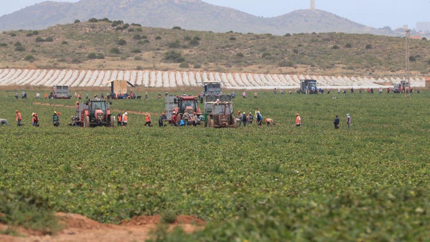 El Ministerio lanza ayudas para frenar el impacto ganadero en el Mar Menor