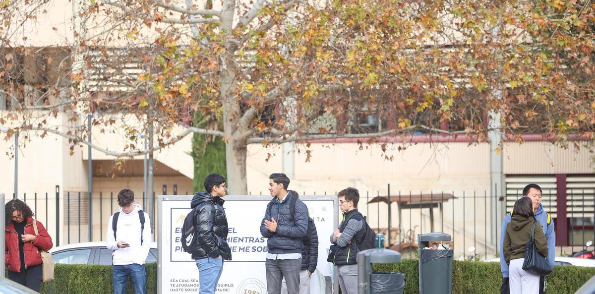 Estudiantes universitarios en la avenida de los Naranjos de València que conecta los campus de la Politècnica y la Universitat.