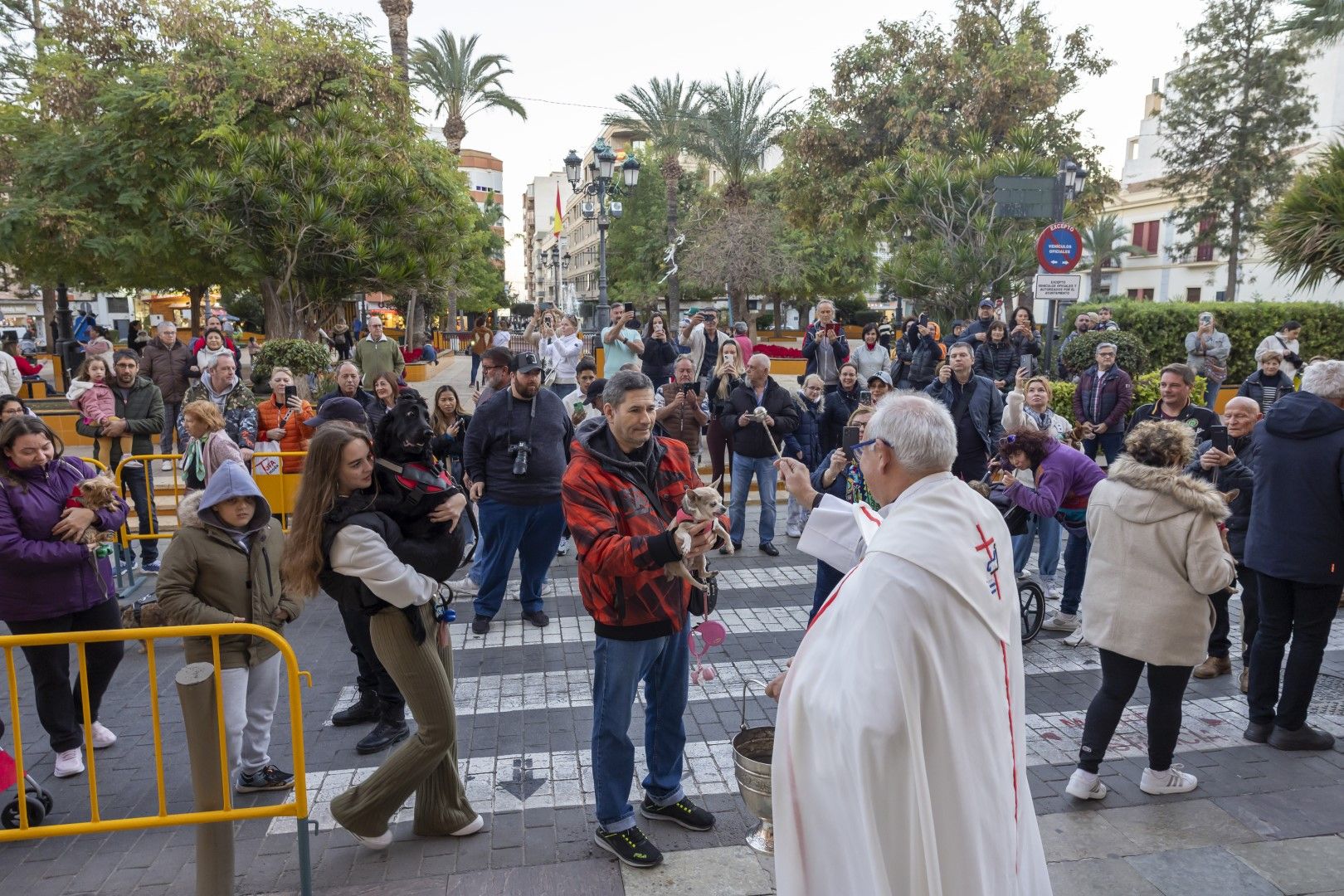 Así han recibicido la bendición perros, gatos y otra fauna doméstica el día de San Antón en Torrevieja