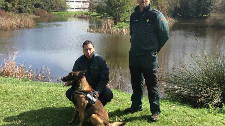 Daniel Garrido y Julián Calles, junto al perro &quot;Tiétar&quot;, en el Museo del Pueblo de Asturias.