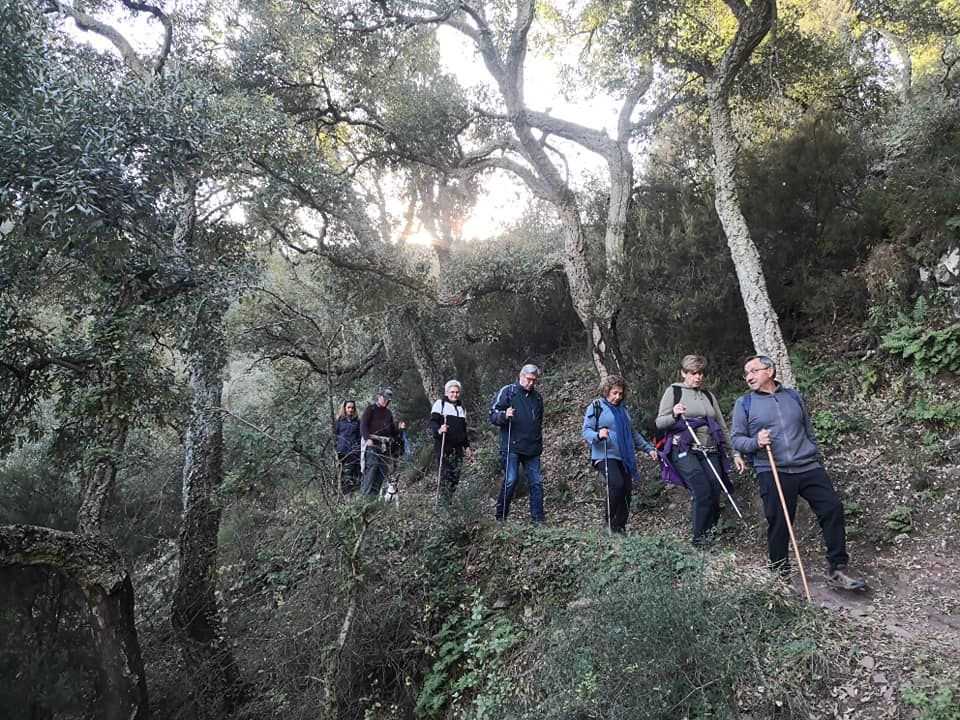 De Navajas a Ain, una ruta por las fuentes