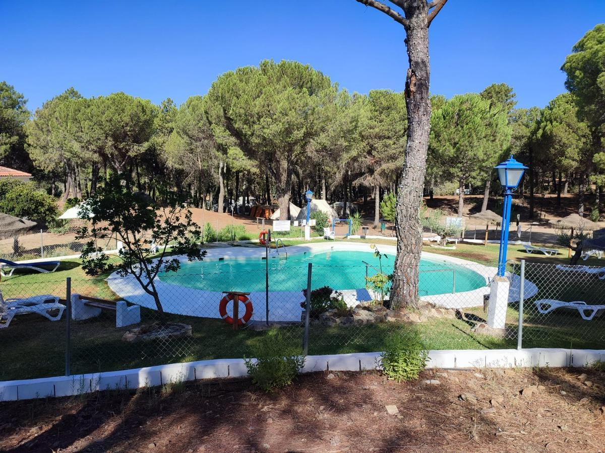 Vista de la piscina, rodeada de arboleda. Concierto a la luz de la luna