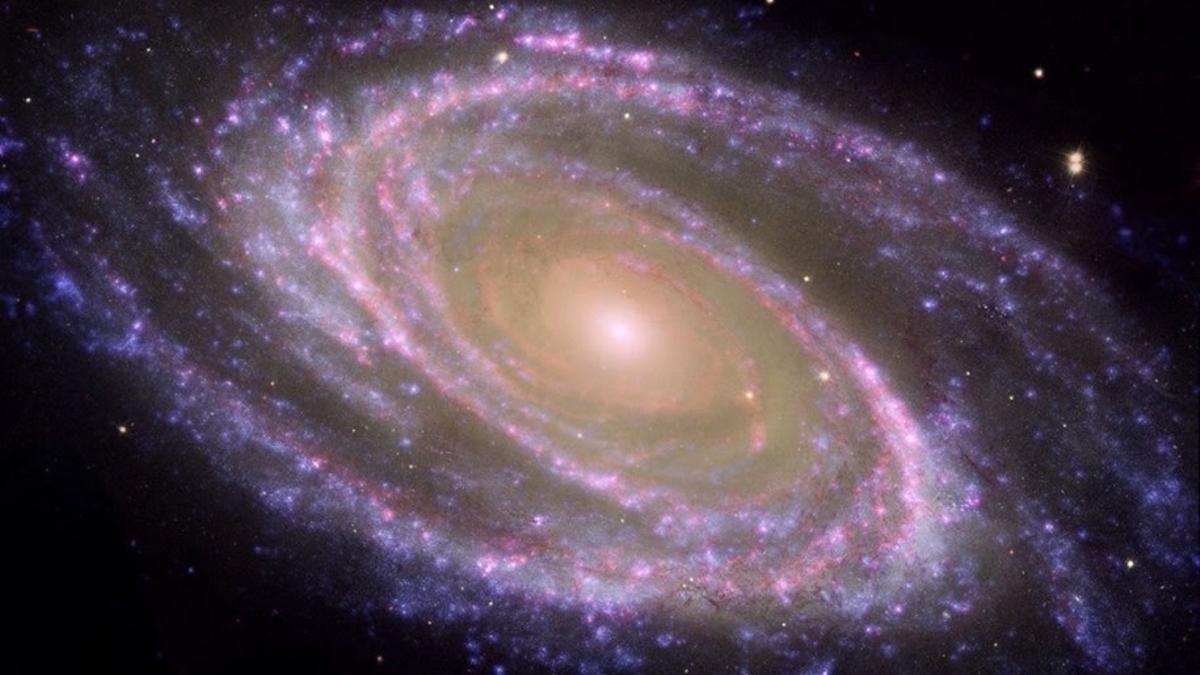 Ejemplo de galaxia espiral cercana, M81, donde se identifica fácilmente el bulbo, la parte central más rojiza.