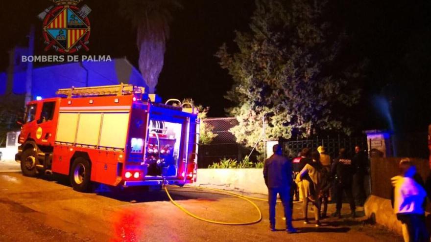 Un rayo quema una palmera en Establiments