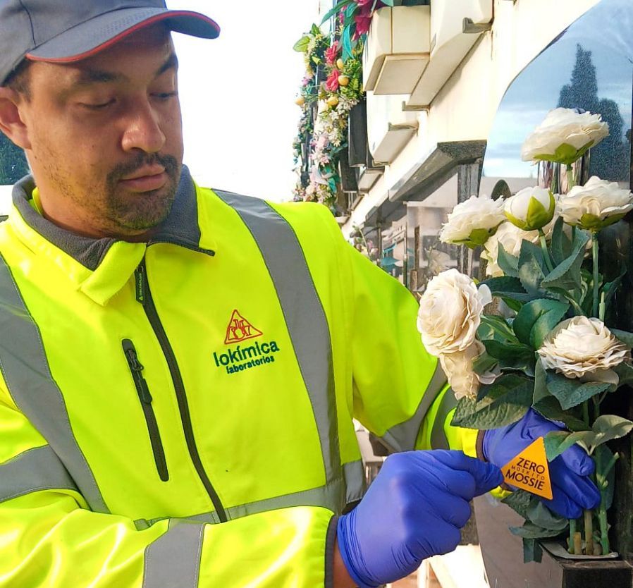 Un técnico de Lokímica coloca un adhesivo antimosquitos en un florero.