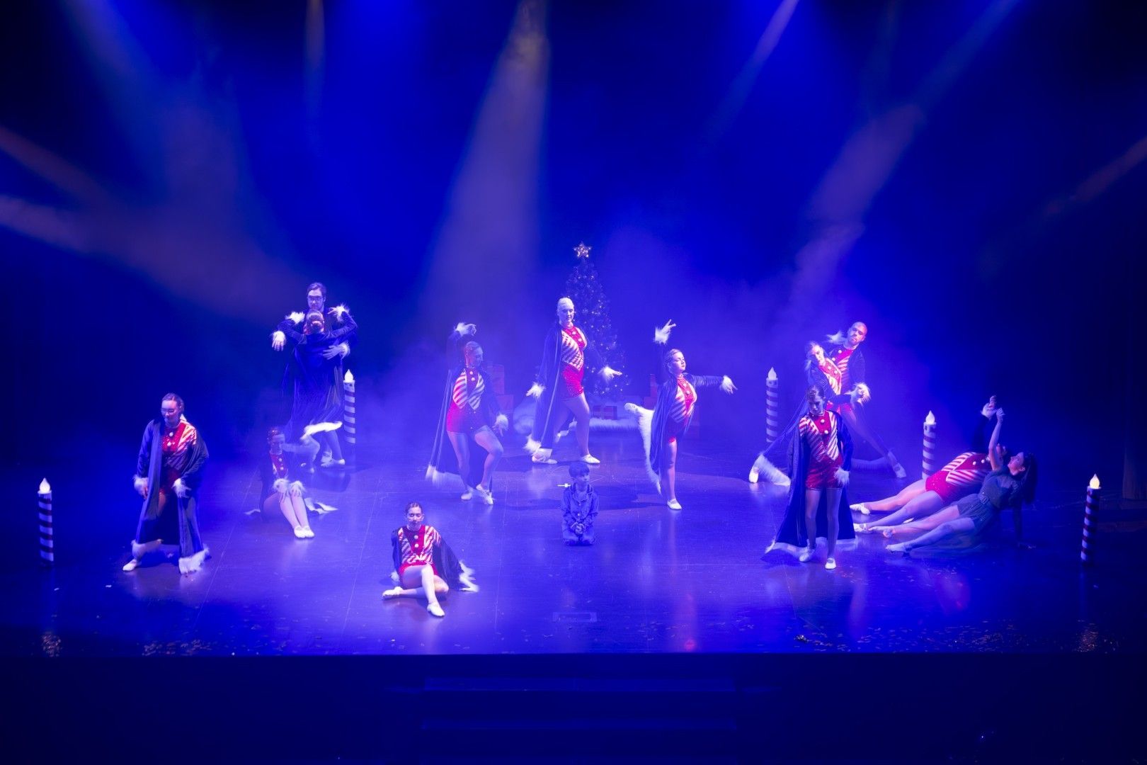 Las mejores imágenes del pregón y la gala del Carnaval 2026 de Torrevieja están aquí