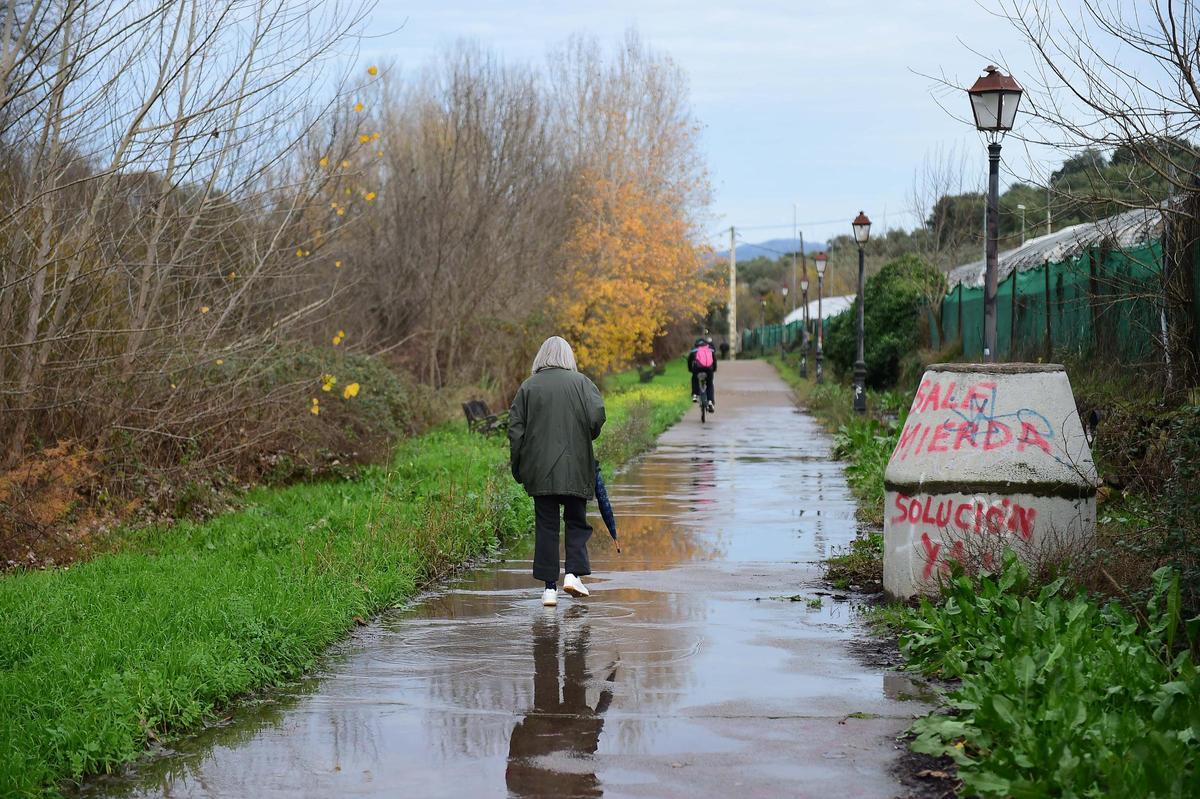 FOTOGALERÍA | Aguas fecales en uno de los paseos del río de Plasencia