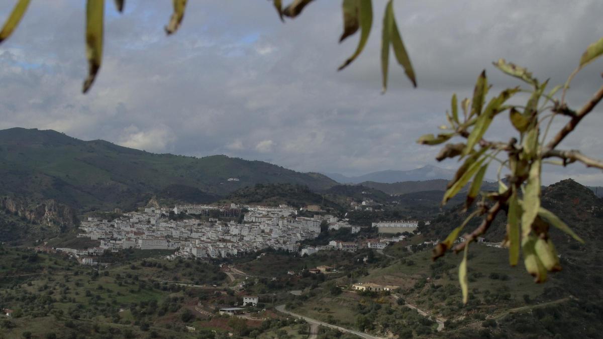 Panorámica de Almogía