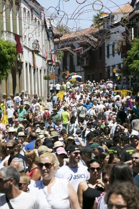 FIESTAS DEL PINO 2016