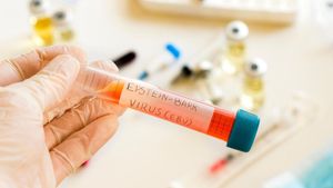 Un estudi apunta al virus de la malaltia del petó com a principal causa de l’esclerosi múltiple