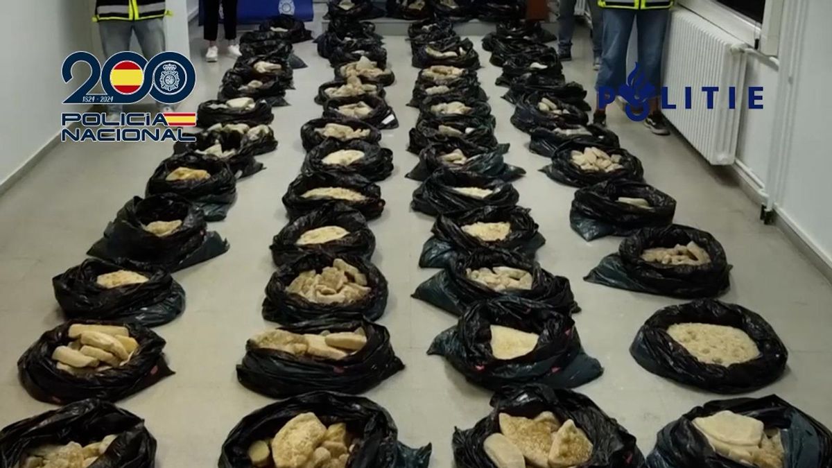 Laboratorio de MDMA desarticulado por la Policía en Amposta Laboratorio de MDMA desarticulado por la Policía en Amposta