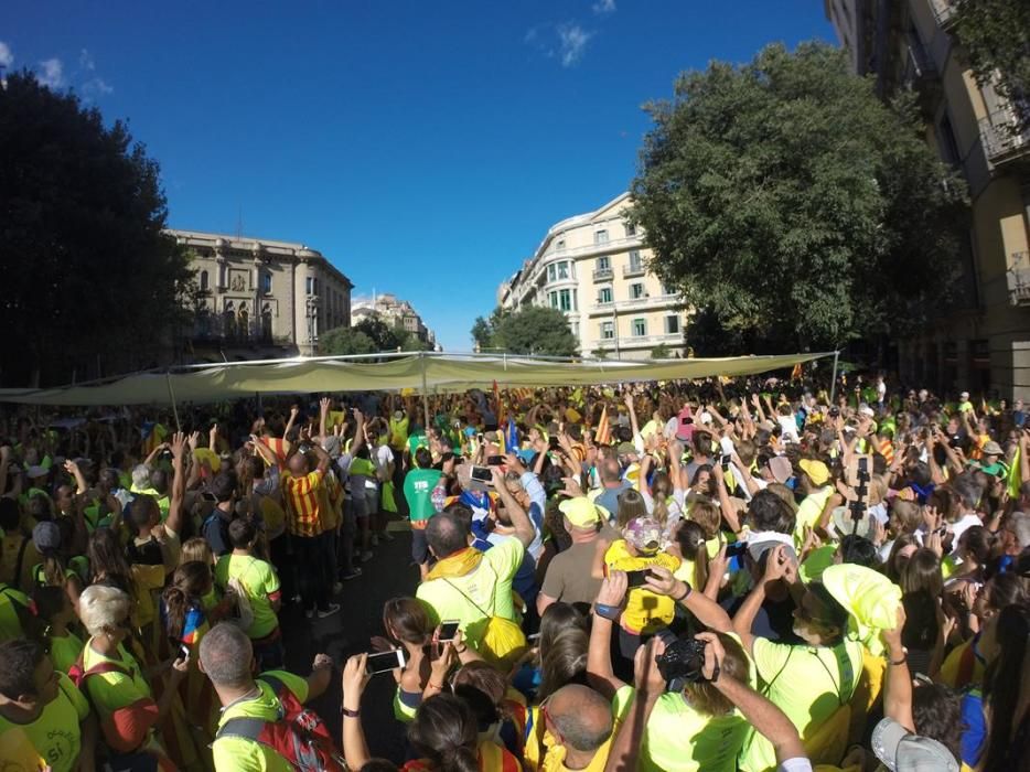 Els gironins a la manifestació de la Diada a Barcelona