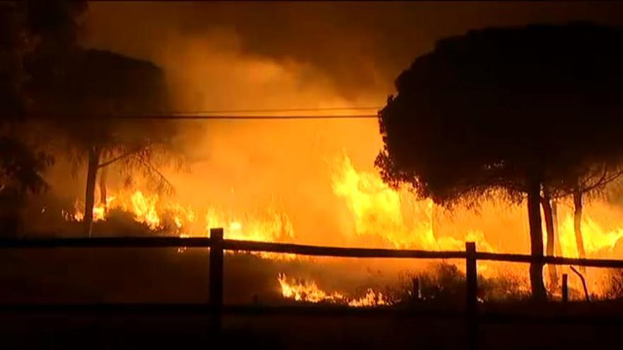 Vídeo / Más de 2.000 evacuados por el incendio en Moguer