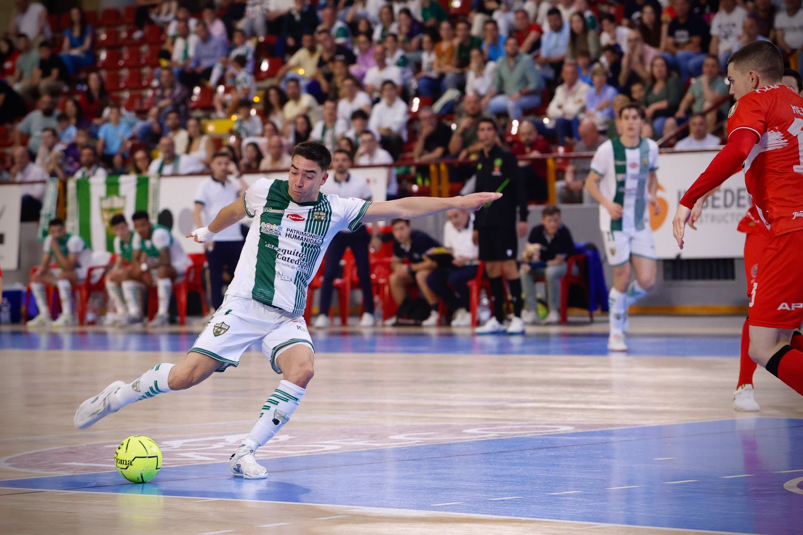 El Córdoba Futsal - Jimbee Cartagena, en imágenes