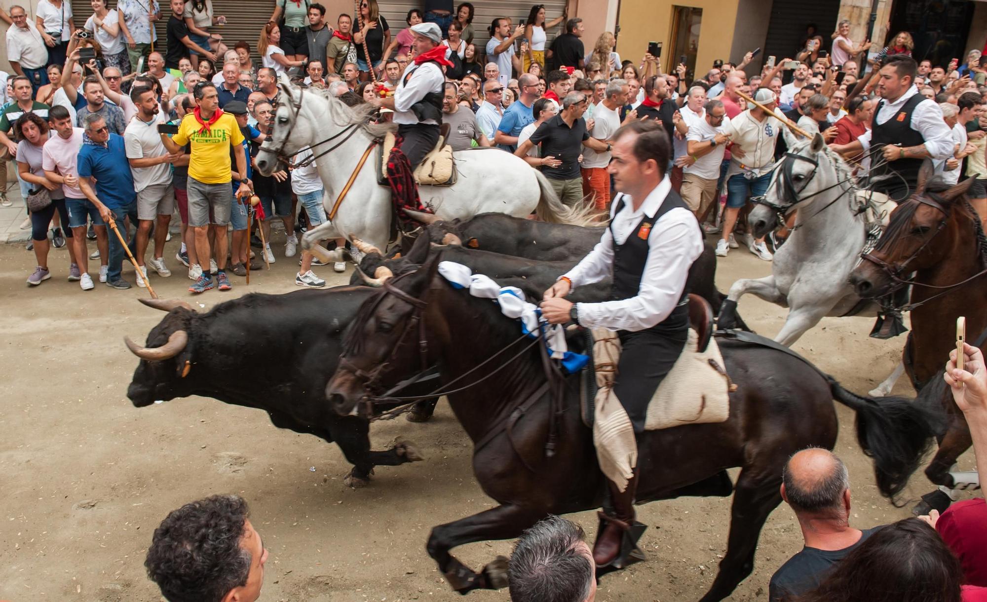 La quinta Entrada de Toros y Caballos de Segorbe, en imágenes