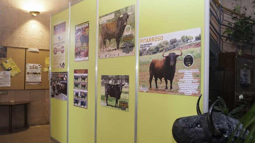 Los carteles de los toros de 2016, entre ellos Lechugazo, que motivó la denuncia de ANPBA.