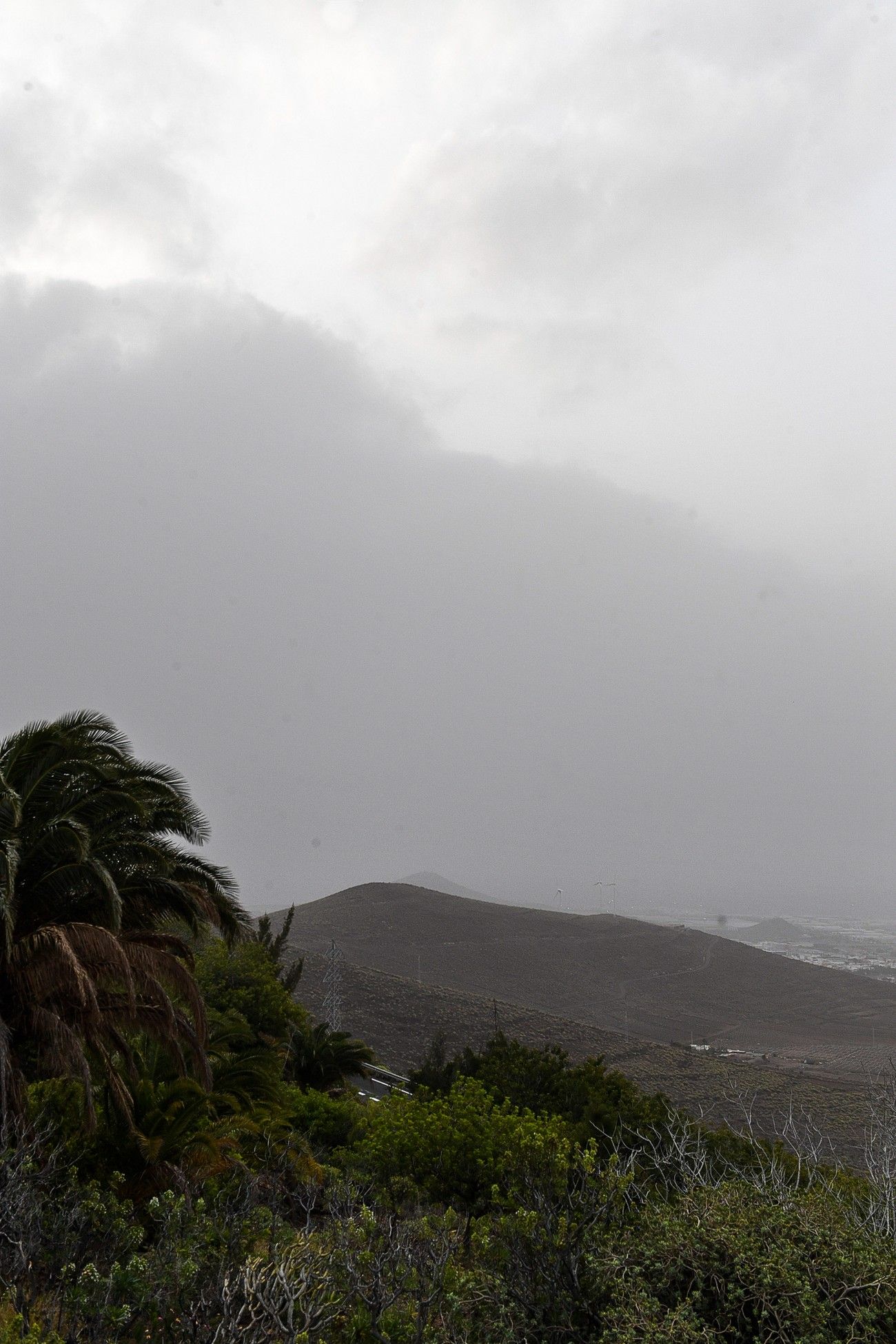 Calima en Las Palmas de Gran Canaria (17/03/2022)