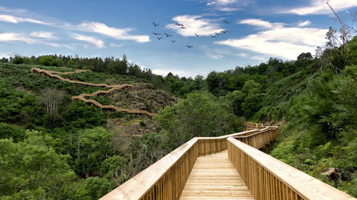 Vista de uno de los tramos de los Passadiços do Mondego, en Portugal.