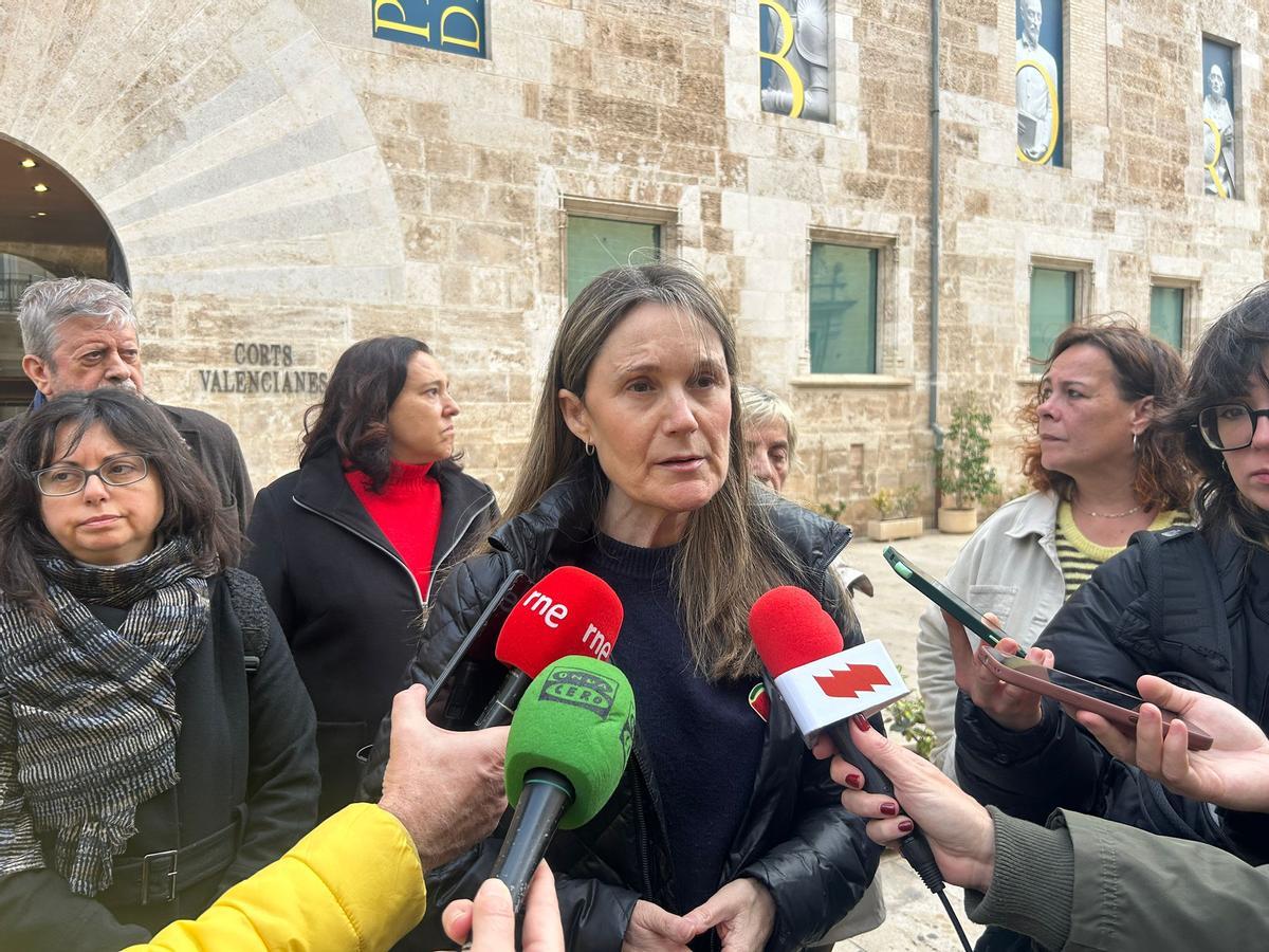Rosa Álvarez en su comparecencia en la rueda de prensa sobre la manifestación del próximo 31 de enero