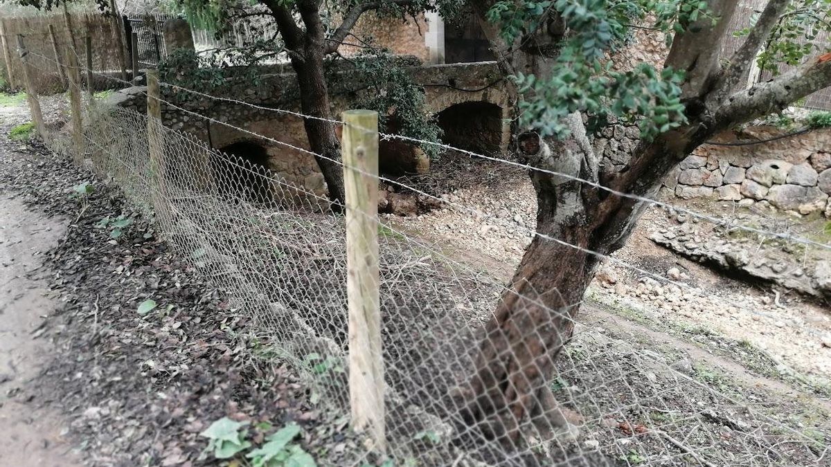 Imagen de la reja que separa el camino del torrente de Coanegra. Al fondo se ve el puente que ha sido cerrado con una barrera a la altura de Son Oliver.