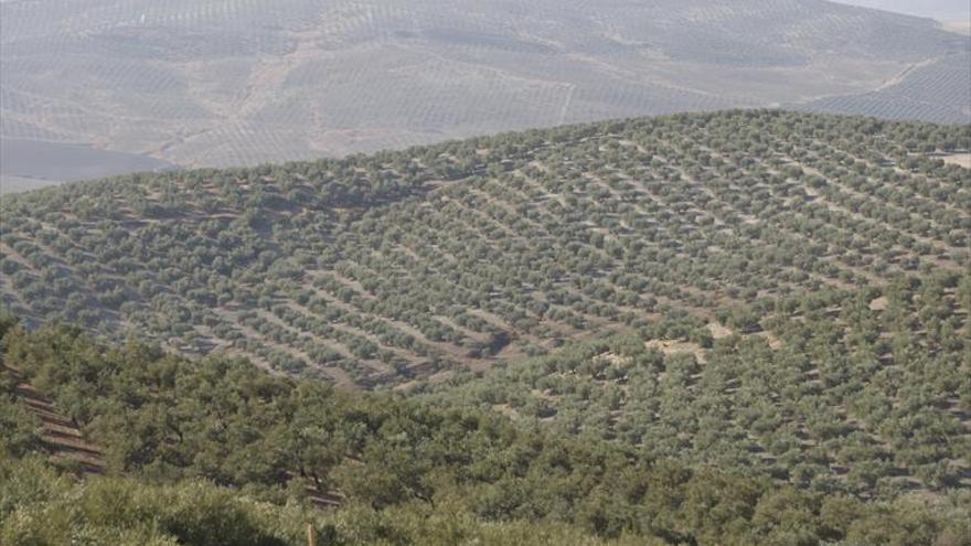 La Junta ha anticipado el pago de las ayudas agrarias en los últimos 9 años