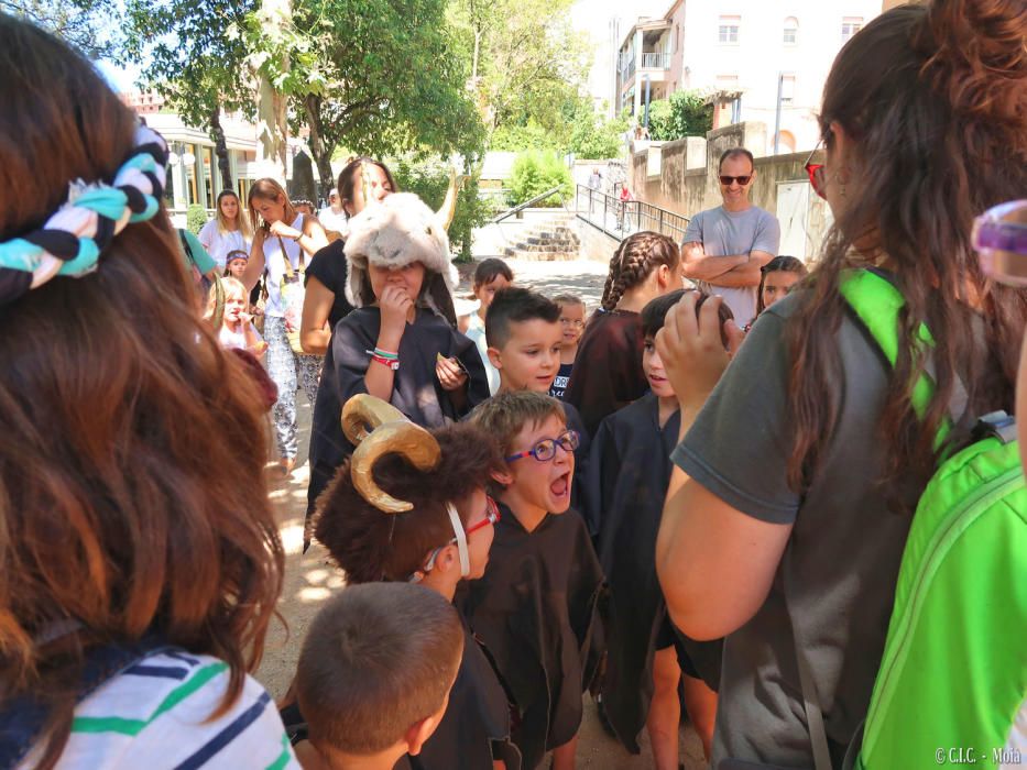 Festa de la Cabra d'Or de Moià