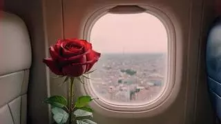 El largo viaje de tu rosa de Sant Jordi