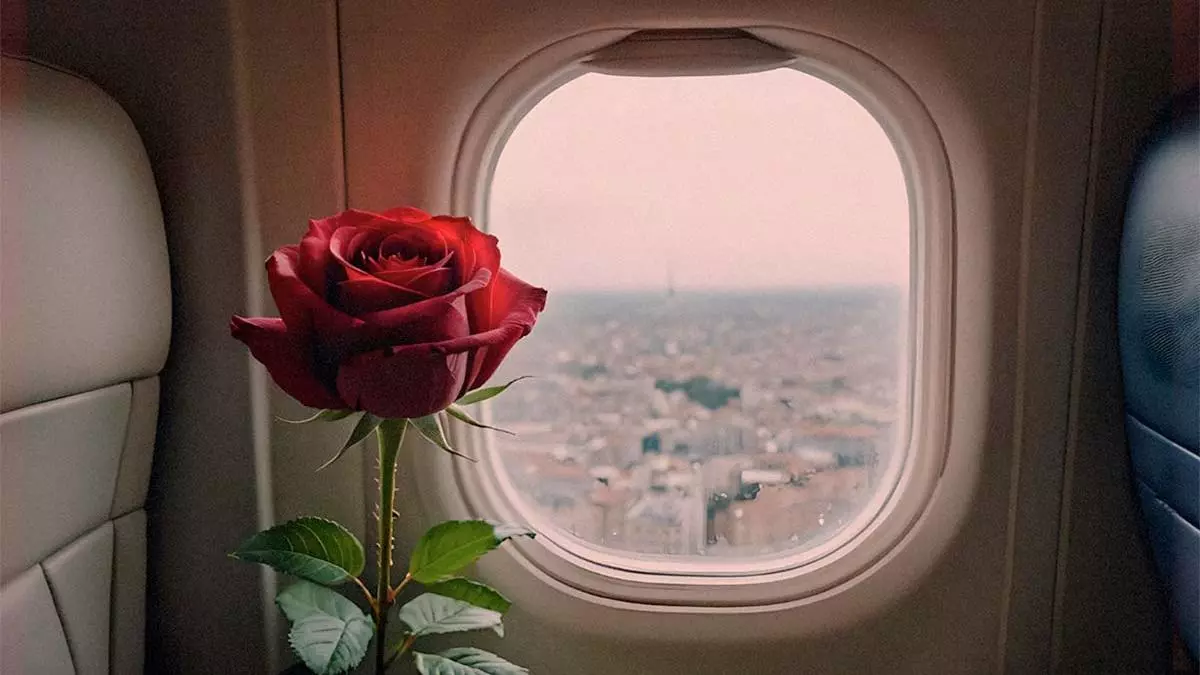 El largo viaje de tu rosa de Sant Jordi
