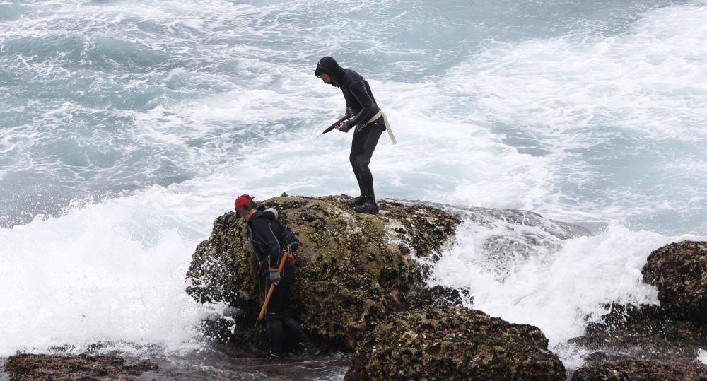 Percebeiros trabajando en la costa de Baiona, pese a los efectos de "Miguel"