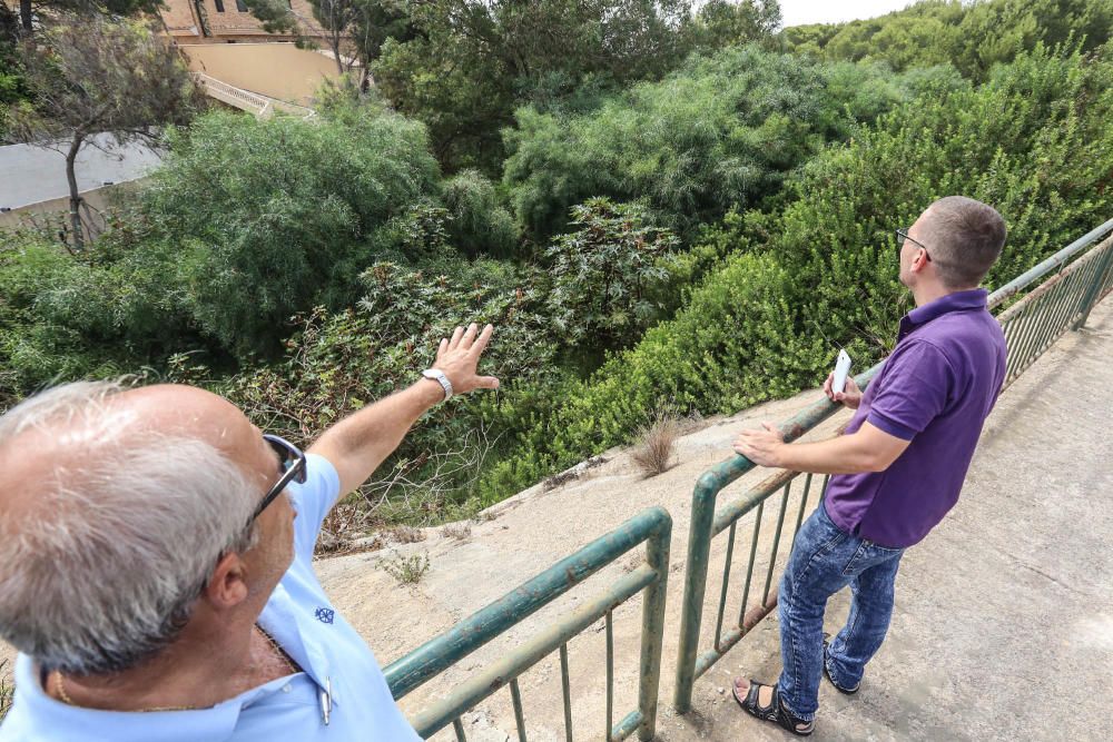 Protesta ciudadana en Campoamor por la falta de li