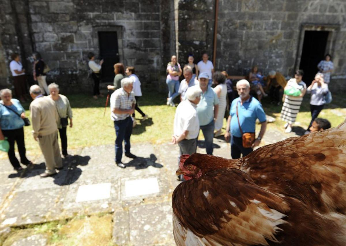 Subasta de aves en el atrio 
después de los actos 
religiosos.   | // BERNABÉ/JAVIER LALÍN