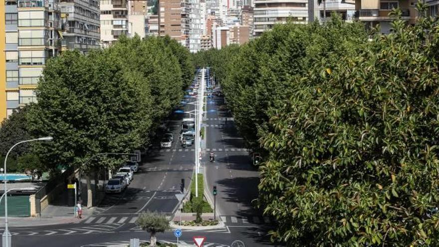 Primer tramo de la avenida del Mediterráneo de Benidorm que se va a renovar desde la plaza Triangular hasta la avenida de Europa.