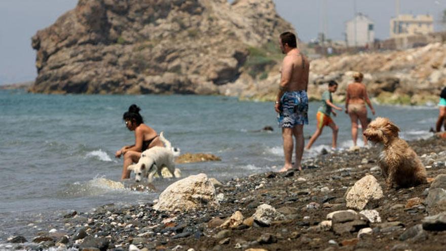 La playa canina de Málaga capital.