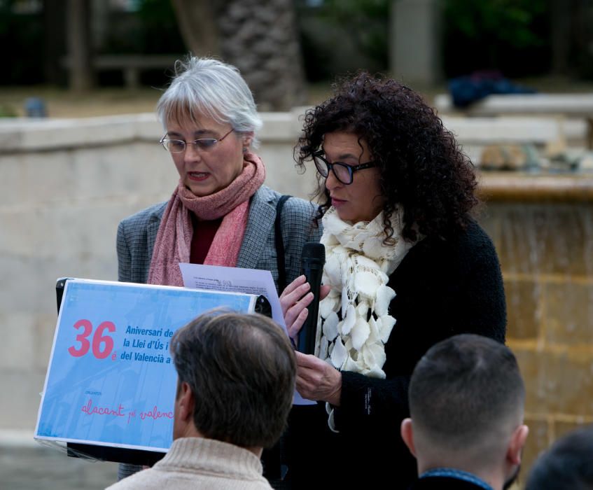 La Diputación de Alicante celebra la convivencia entre valenciano y castellano