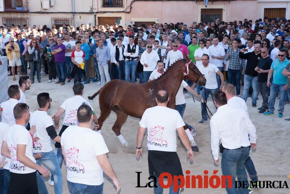 Día uno de mayo, entrada de caballos al Hoyo