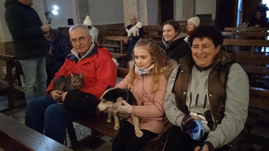 La iglesia de Tapia acoge esta tarde la ya tradicional bendición de mascotas por San Antón