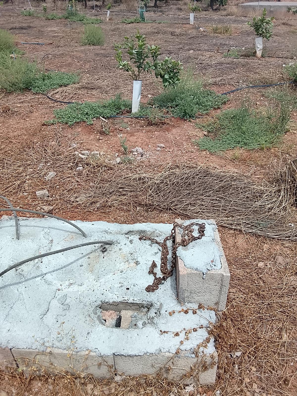 Superficie de hormigón donde se había instalado el monumento a la agricultura, en una parcela citrícola vallada de la Vilavella.