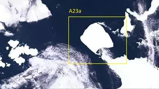 El mayor iceberg del mundo, más grande que Ibiza, navega ya hacia mar abierto