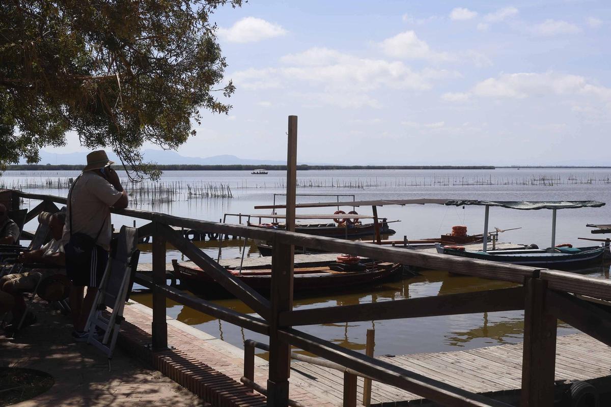 Un hombre observa el horizonte en el embarcadero de l'Albufera.